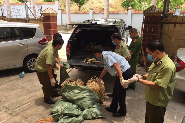 Ngăn chặn vận chuyển trái phép gia cầm qua biên giới