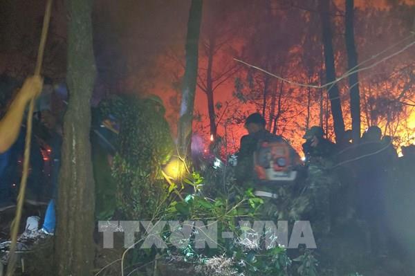 Nghệ An khởi tố hình sự và xử lý hành chính 8 vụ cháy rừng