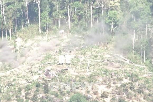 Kiến nghị xử lý trách nhiệm trong quản lý, bảo vệ rừng ở Gia Lai