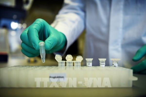 Nhật Bản đặt mua 120 triệu liều vaccine phòng COVID-19