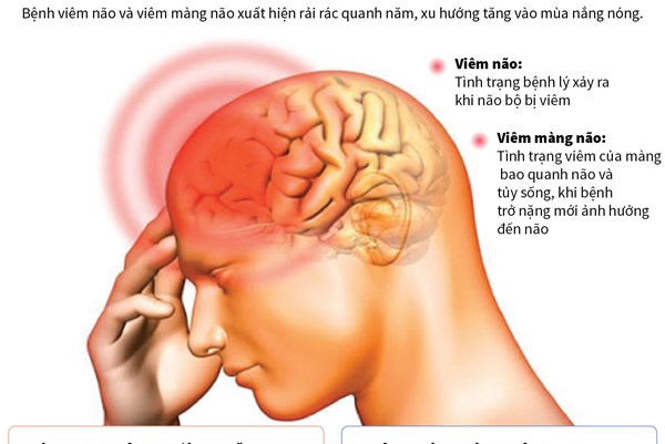 Phòng tránh bệnh viêm não và viêm màng não