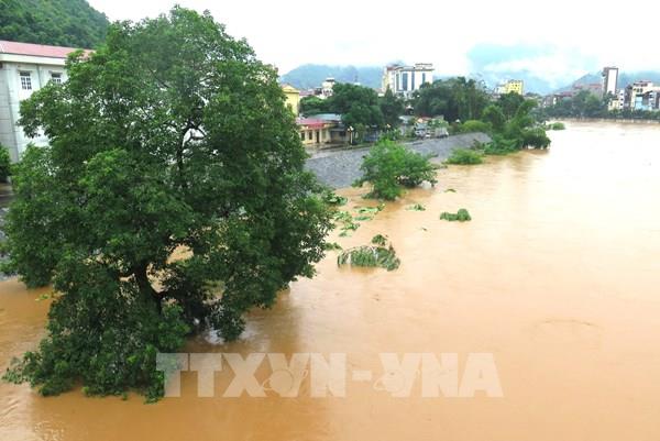 Mưa lũ gây ngập lụt nghiêm trọng ở Hà Giang