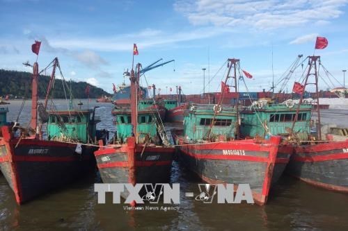 Vì sao ngư dân không mặn mà với Nghị định 17/2018/NĐ-CP?