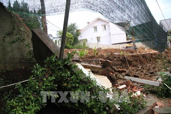 Đà Lạt: Thông lớn ngã đổ, sập ta-luy gây nguy hiểm cho người đi đường