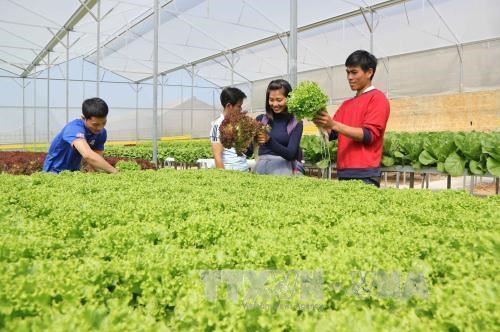 Hiệp định EVFTA: Tăng chất lượng và xây dựng thương hiệu cho nông sản Việt