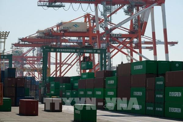 WHO: Hạn chế xuất-nhập khẩu tác động tiêu cực tới thương mại toàn cầu