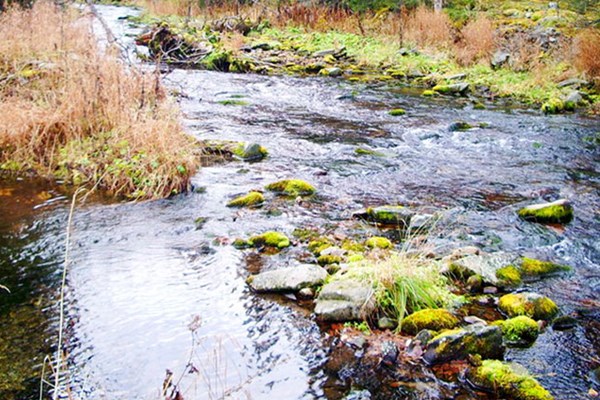 Nga điều tra tình trạng rò rỉ hóa chất độc hại tại một khu mỏ hoang
