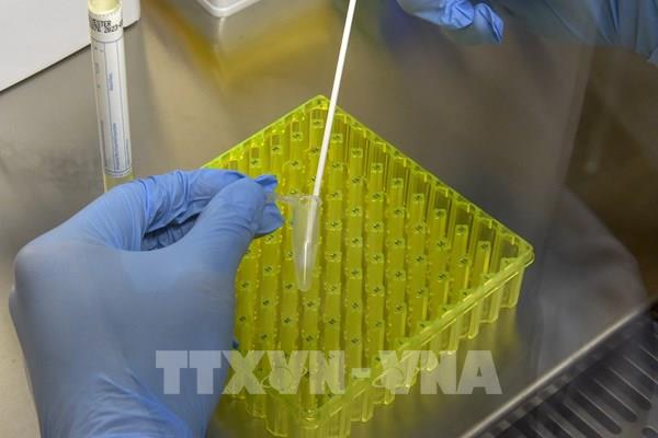 Đức cân nhắc xét nghiệm COVID-19 bắt buộc đối với một số trường hợp nhập cảnh