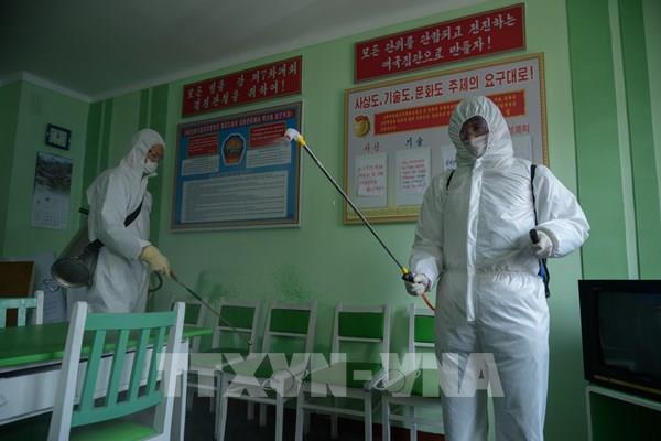 Hàn Quốc xác minh thông tin liên quan tới người đào tẩu Triều Tiên nghi mắc COVID-19