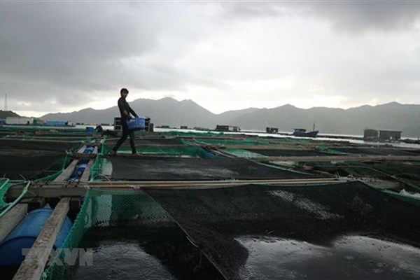 Vùng áp thấp có khả năng mạnh lên thành áp thấp nhiệt đới