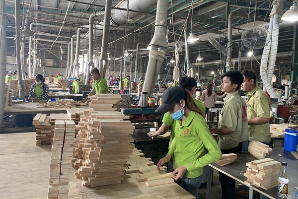 Đề xuất tháo gỡ tình trạng ván ghép thanh bị ùn tắc tại các cảng biển