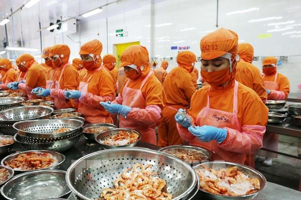 Gỡ nút thắt cho chuỗi cung ứng tiêu thụ thủy sản phía Nam