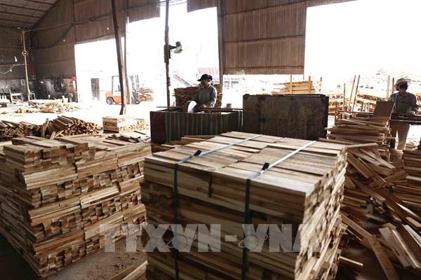 Dự thảo Nghị định sửa đổi quy định, nâng cao hiệu quả hoạt động của công ty nông, lâm nghiệp