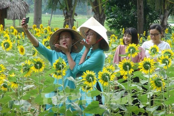 Điều kiện nào để kích cầu du lịch "hậu" COVID-19?