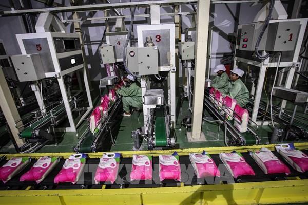 Thị trường gạo châu Á tuần qua: Giá gạo Việt Nam tăng do diễn biến dịch COVID-19