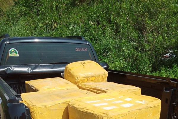 Phạt 20 triệu đồng vi phạm kinh doanh 350kg nầm lợn đông lạnh nhập lậu