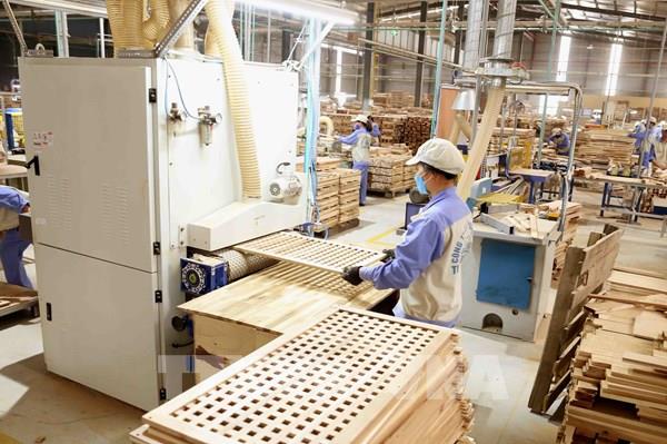 Bộ Tài chính có ý kiến về việc áp dụng mã HS với gỗ cao su xuất khẩu dạng tấm
