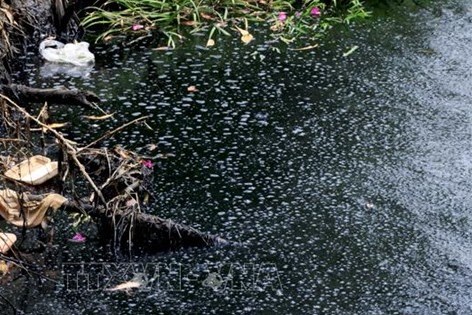 Xử phạt Sunfeel Việt Nam 522 triệu đồng vì gây ô nhiễm môi trường nhiều năm