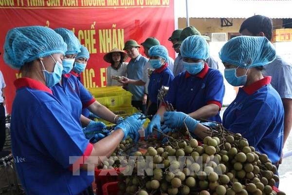 Hỗ trợ doanh nghiệp Việt Nam xuất khẩu hàng hóa sang Lào