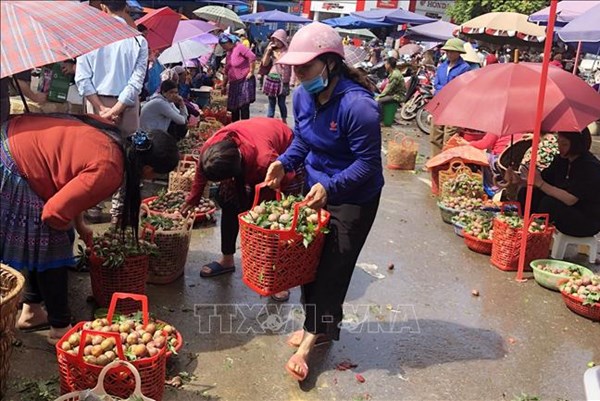  Lào Cai đặt kế hoạch thu hút đầu tư thêm 17 chợ tại 9 huyện, thị 