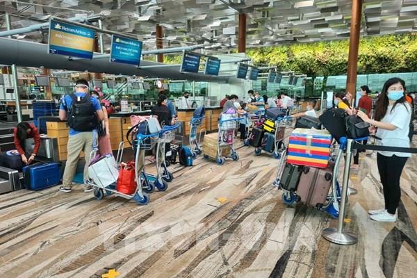 Dịch COVID-19: Đưa hơn 300 công dân Việt Nam từ Singapore về nước