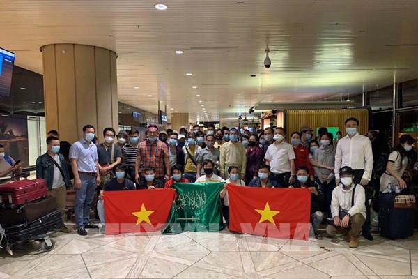 Đưa hơn 270 công dân Việt Nam từ Cộng hòa Cyprus và Saudi Arabia về nước