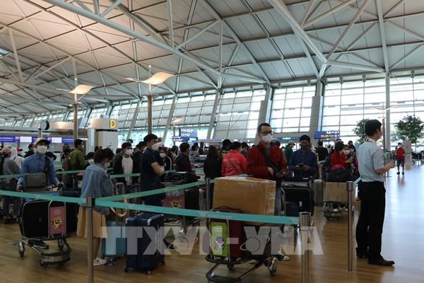 Đưa hơn 230 công dân Việt Nam từ Hàn Quốc về nước an toàn