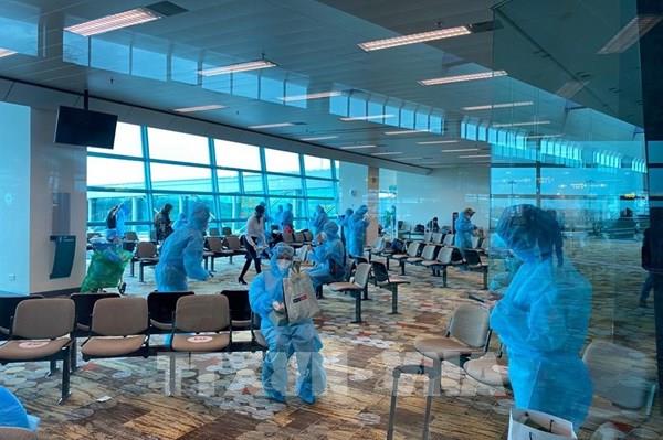 Đưa hơn 240 công dân Việt Nam từ Singapore về nước