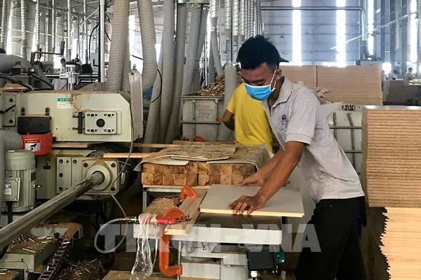 Tổng cục Hải quan tháo "vướng" cho doanh nghiệp xuất khẩu mặt hàng gỗ cao su dạng tấm