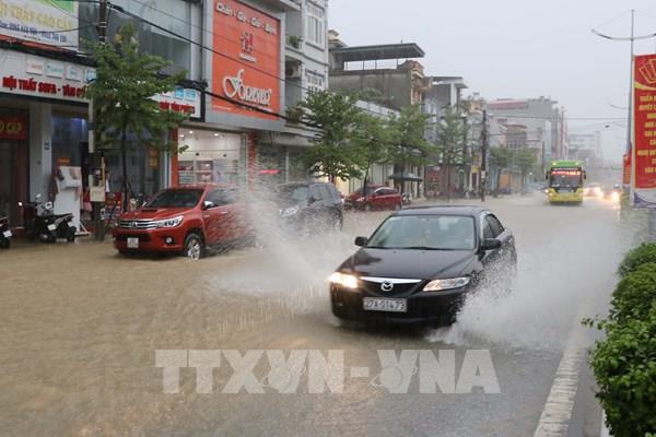 Dự báo thời tiết ngày mai 15/8: Bắc Bộ, Tây Nguyên và Nam Bộ có mưa rất lớn