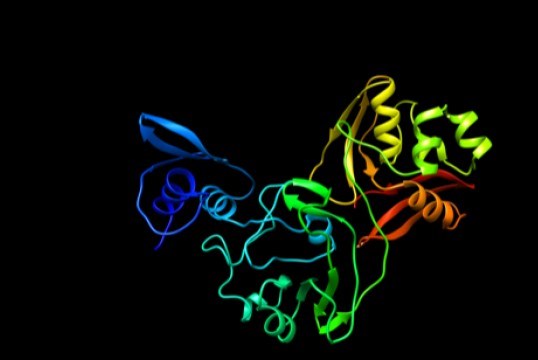 Hướng đi mới cho điều trị COVID từ điểm yếu của protein virus SARS-CoV-2