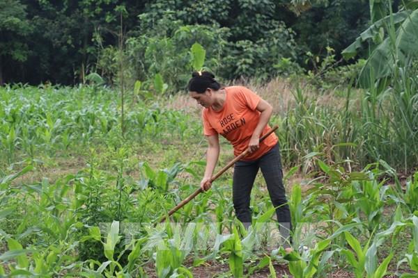 Tài chính toàn diện giúp người nghèo tiếp cận nguồn vốn ưu đãi