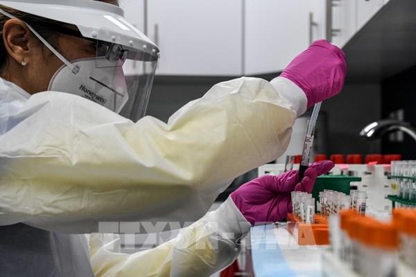 WHO sẽ không phê chuẩn vaccine chưa đáp ứng tiêu chí an toàn và hiệu quả
