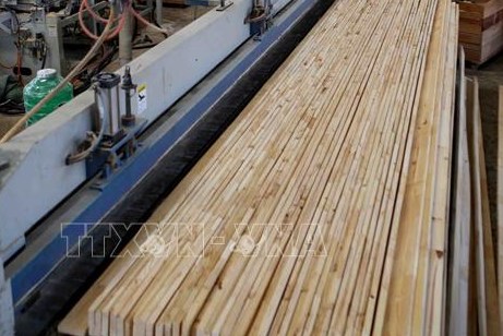 Xây dựng thị trường đồ gỗ minh bạch, hợp pháp