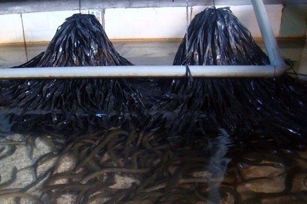 Dân khóc dở mếu dở vì bị chọn nhầm đối tượng dự án giảm nghèo