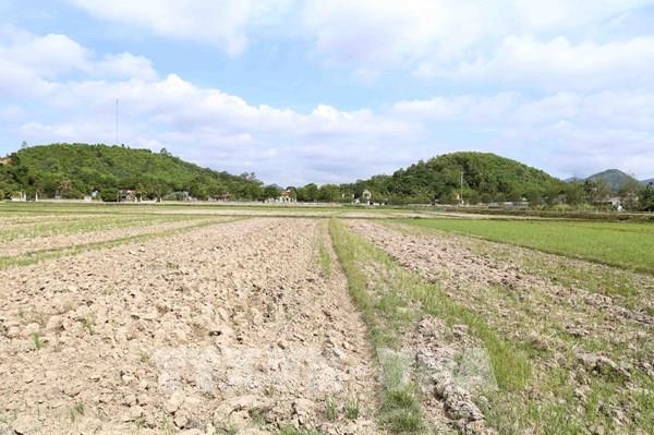 McKinsey Global Institute: Châu Á sẽ chịu tác động nghiêm trọng nhất từ biến đổi khí hậu