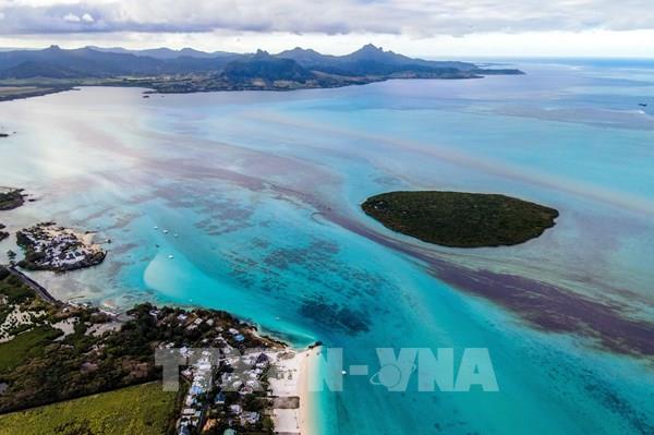 Nhật Bản cử thêm chuyên gia hỗ trợ Mauritius xử lý sự cố tràn dầu 