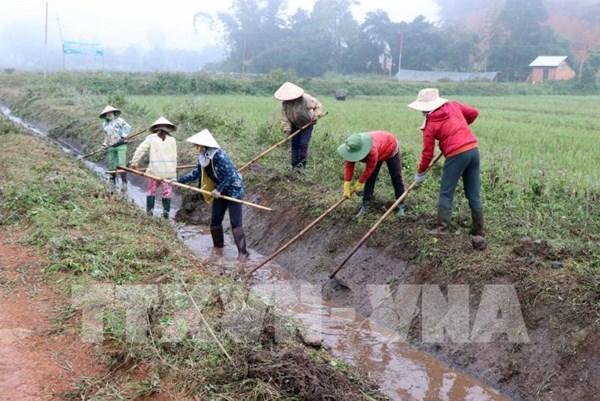 Nghiên cứu thông tin báo nêu liên quan đến sản xuất nông nghiệp