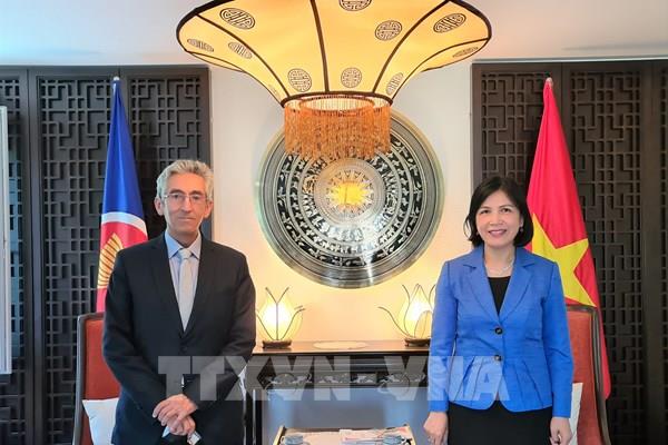 Việt Nam thúc đẩy hợp tác với tổ chức Trung tâm Phương Nam