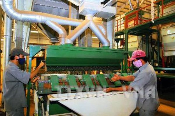 Thị trường nông sản tuần qua: Giá cà phê tăng trở lại