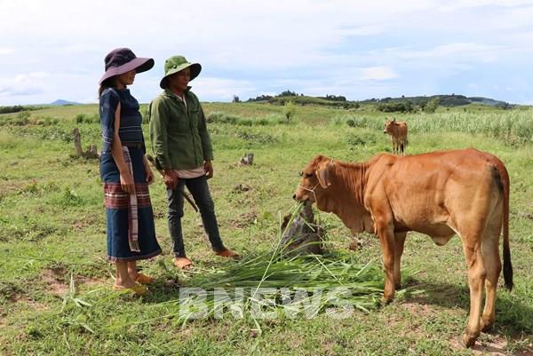 Thoát nghèo nhờ nguồn vốn chính sách