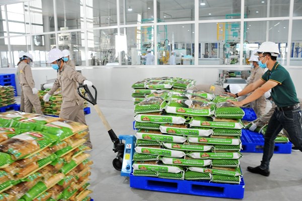 PAN chào mua cổ phiếu VFG