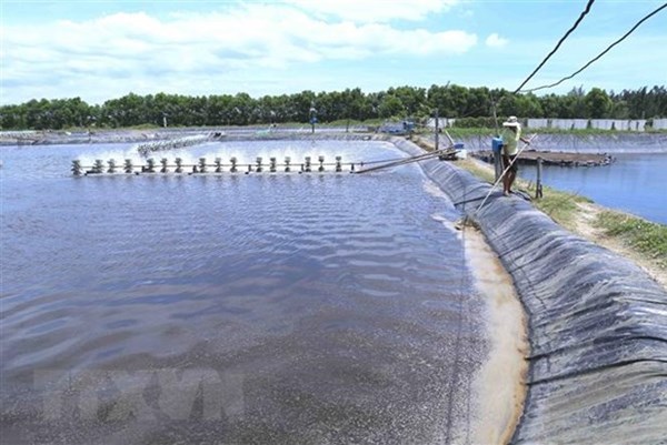 Tiền Giang phát huy lợi thế, tạo động lực cho ngành khai thác hải sản