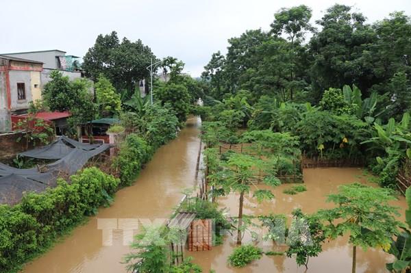 Dự báo thời tiết 2 ngày tới: Bắc Bộ tiếp tục có mưa to, nguy cơ ngập úng cục bộ