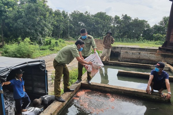 Tiêu hủy hơn 3 tấn phân bón giả 