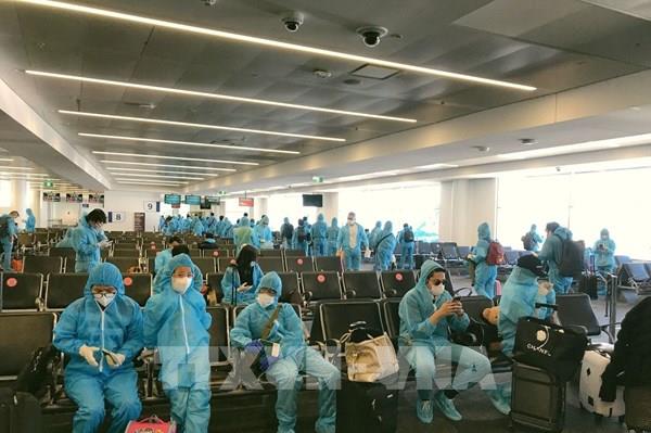 Đưa hơn 340 công dân Việt Nam từ Australia về nước