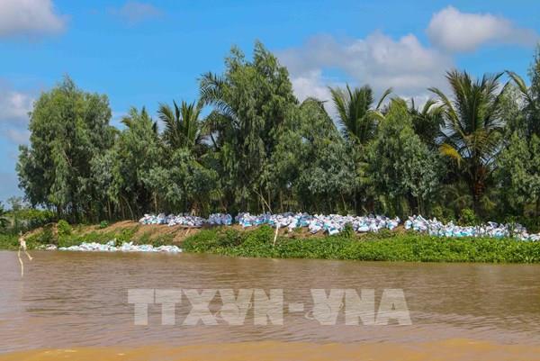 Cần Thơ: Tình trạng sạt lở làm mất từ 1 đến 1,2 ha đất ở Tân Lộc hàng năm
