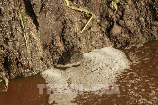 Đề xuất thu phí dịch vụ thoát nước ở Tp.Hồ Chí Minh: Nhiều ý kiến trái chiều