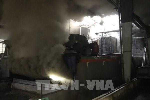 Hỏa hoạn thiêu rụi lò sấy Nhà máy chế biến mủ cao su Phương Hậu