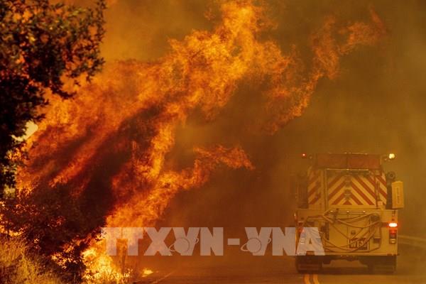 Cháy rừng tiếp tục lan mạnh tại bang California (Mỹ)